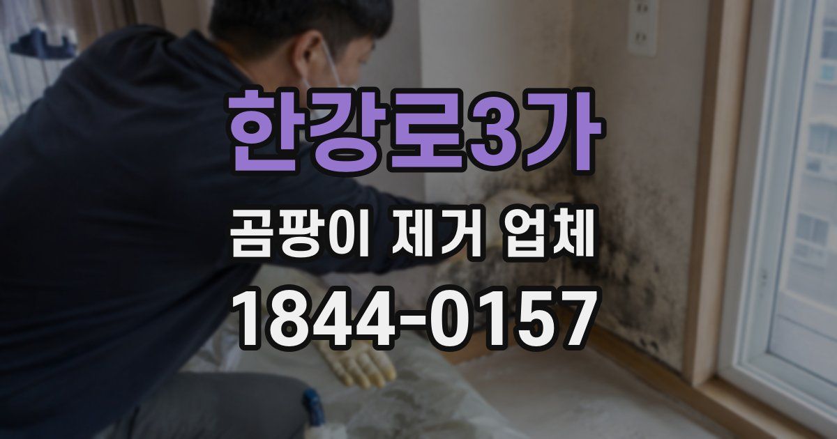 한강로3가 곰팡이 제거 업체