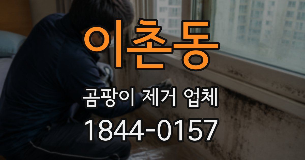 이촌동 곰팡이 제거 업체