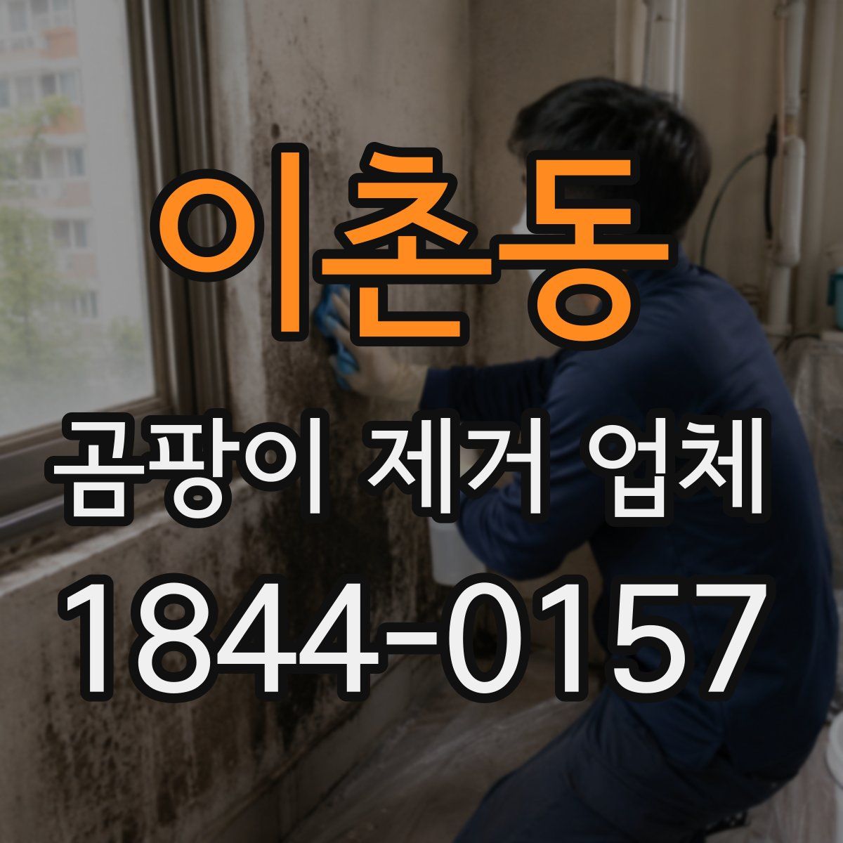 이촌동 곰팡이 제거 업체