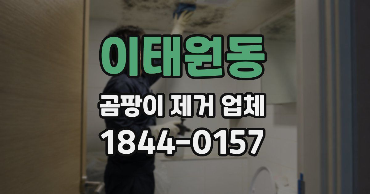 이태원동 곰팡이 제거 업체