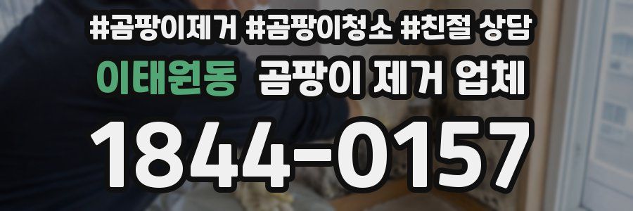 이태원동 곰팡이 제거 업체