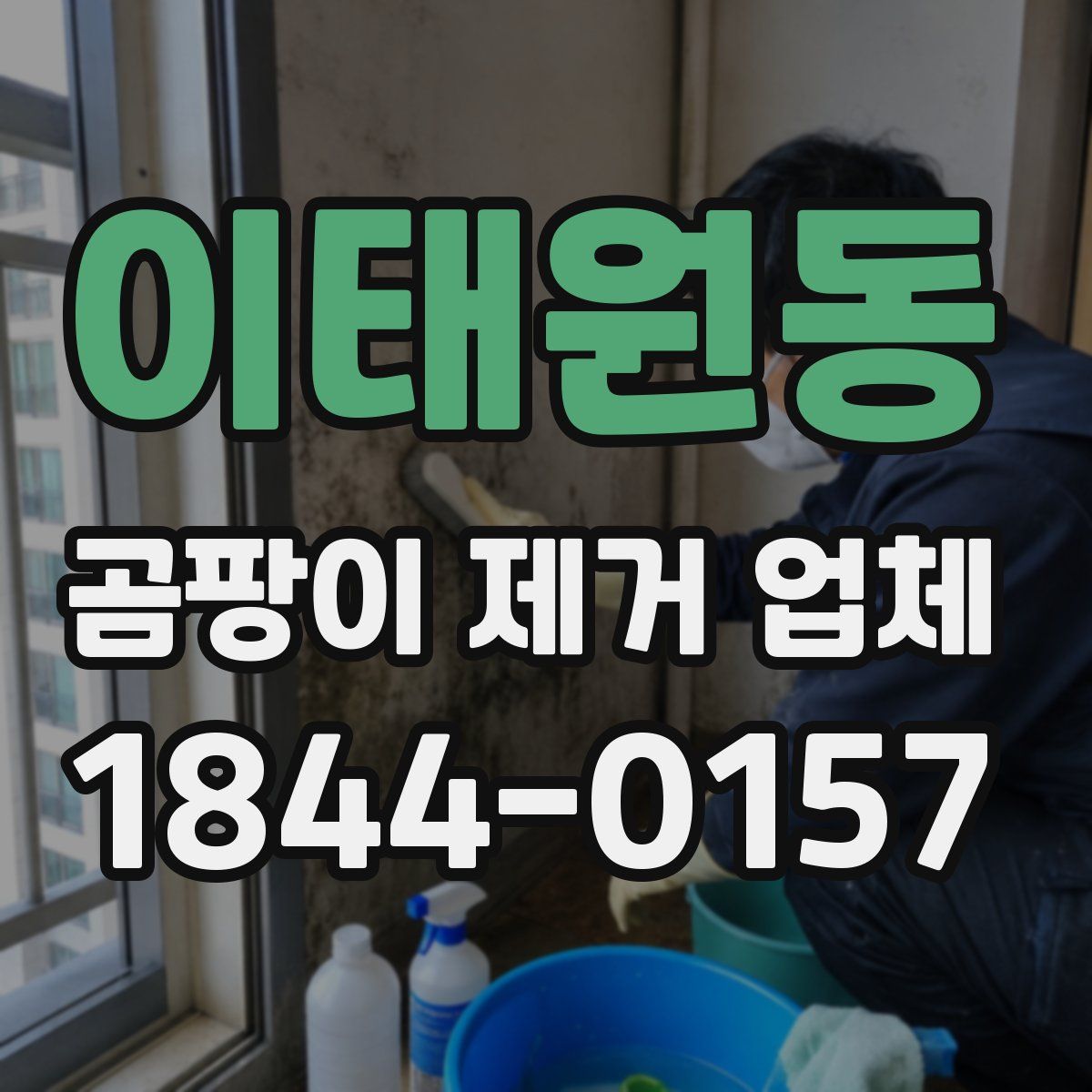 이태원동 곰팡이 제거 업체