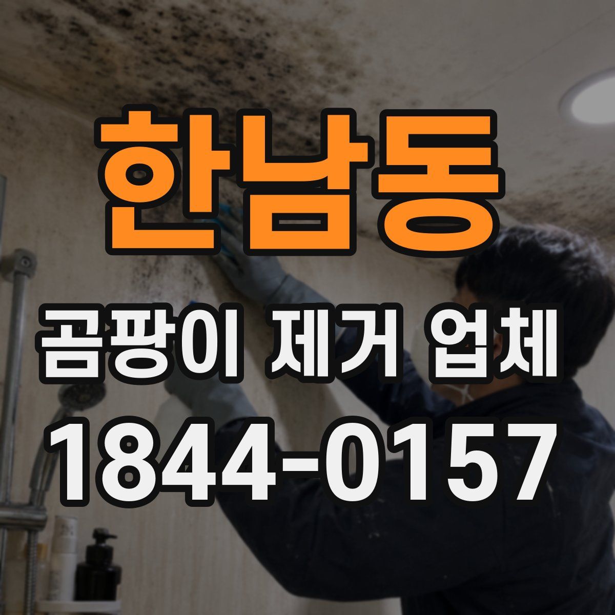 한남동 곰팡이 제거 업체