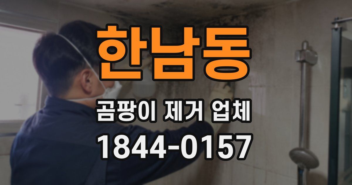 한남동 곰팡이 제거 업체