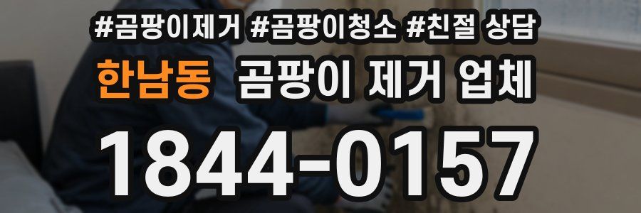 한남동 곰팡이 제거 업체