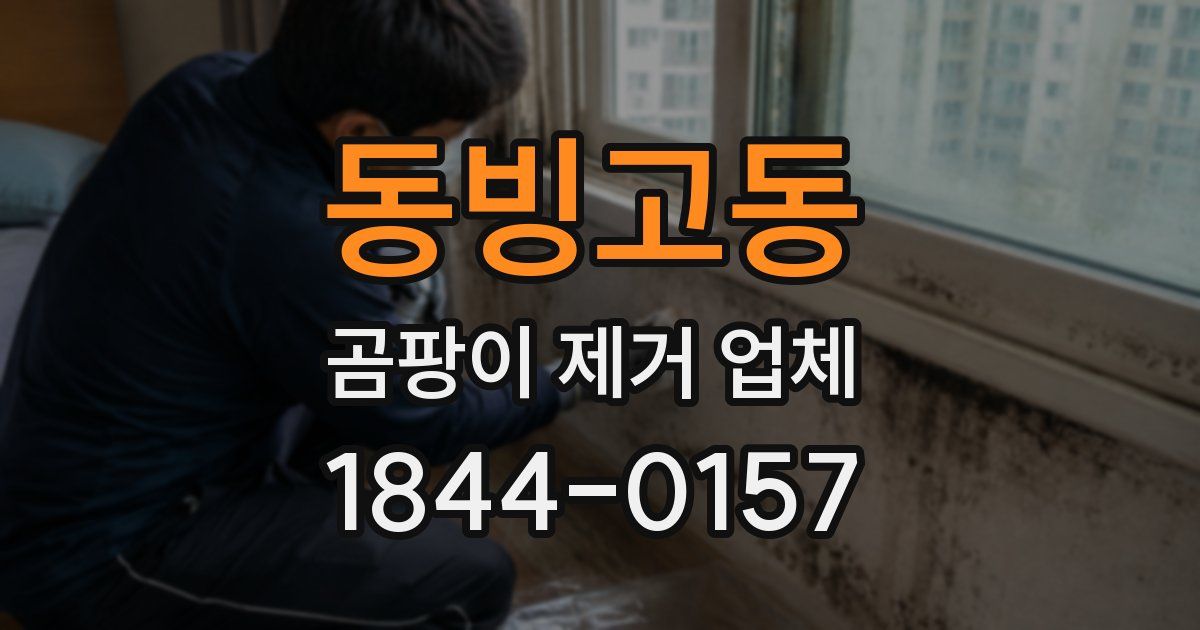 동빙고동 곰팡이 제거 업체