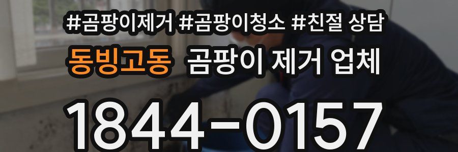 동빙고동 곰팡이 제거 업체
