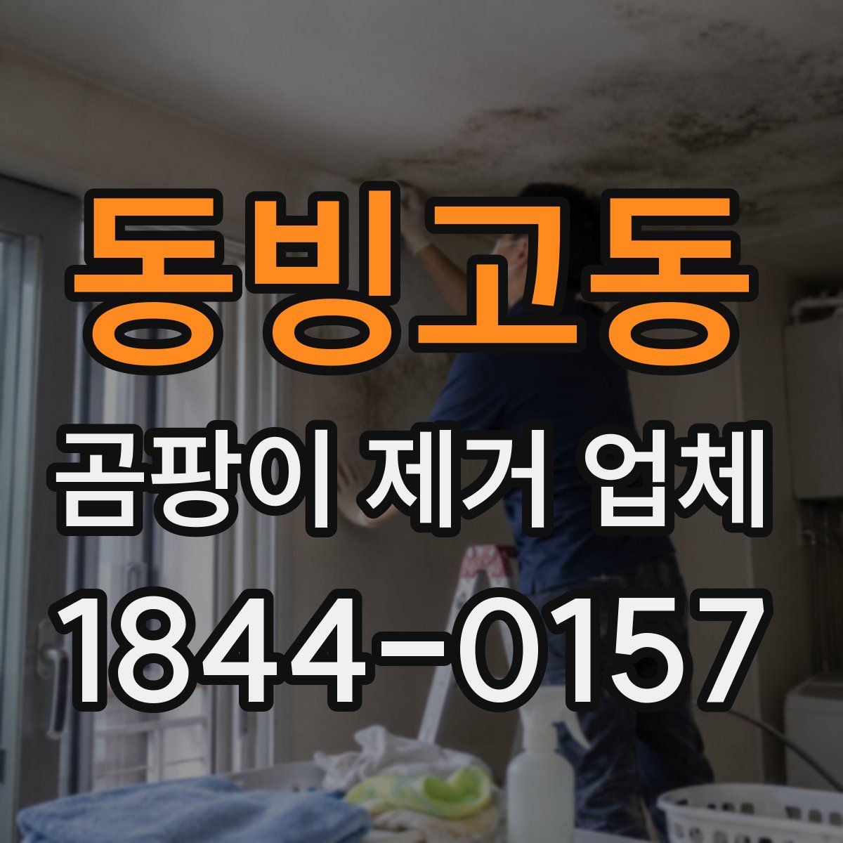 동빙고동 곰팡이 제거 업체