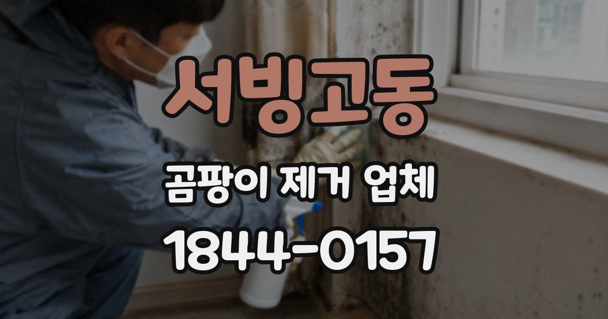 서빙고동 곰팡이 제거 업체