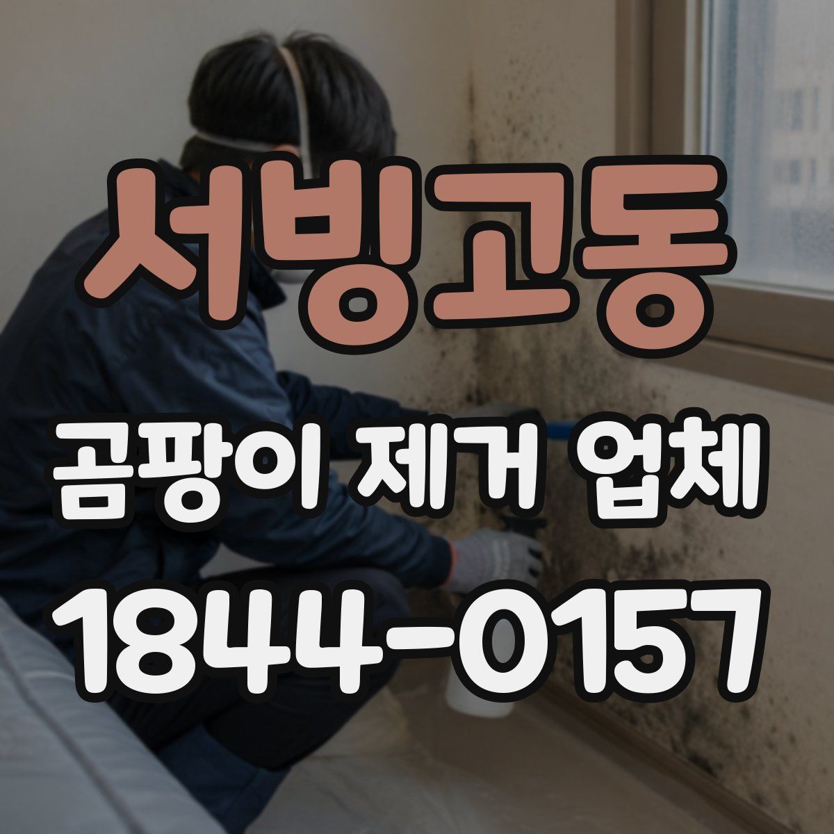 서빙고동 곰팡이 제거 업체