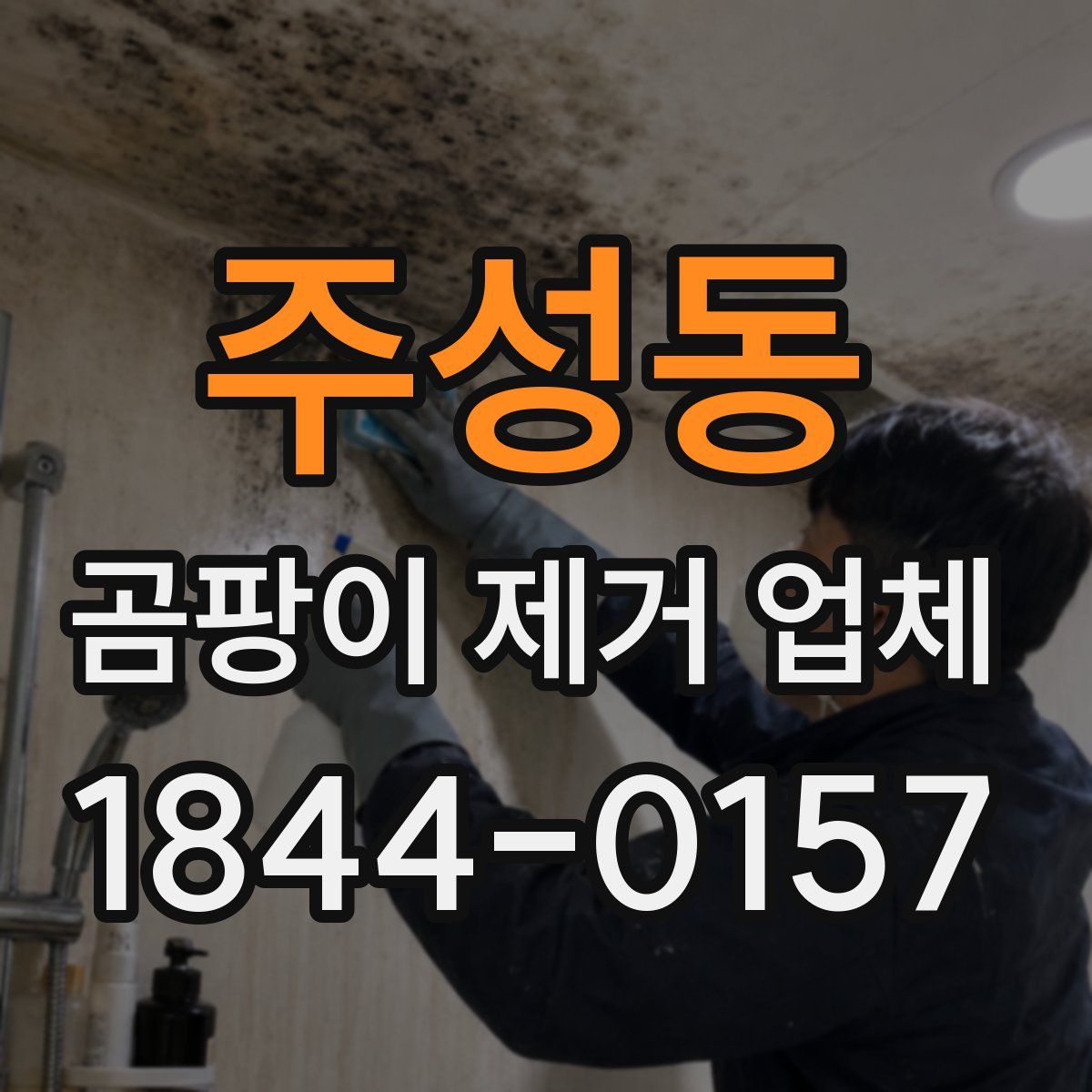 주성동 곰팡이 제거 업체