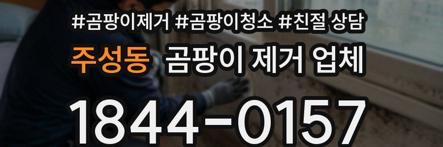 주성동 곰팡이 제거 업체