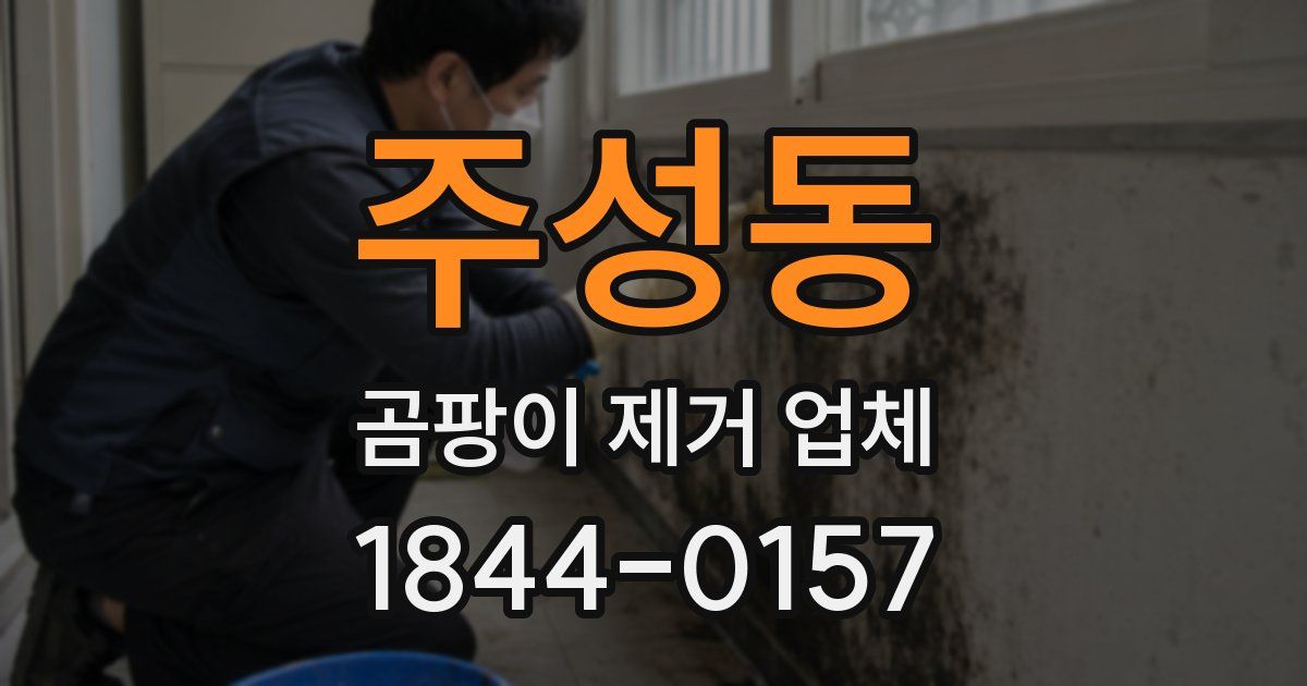 주성동 곰팡이 제거 업체