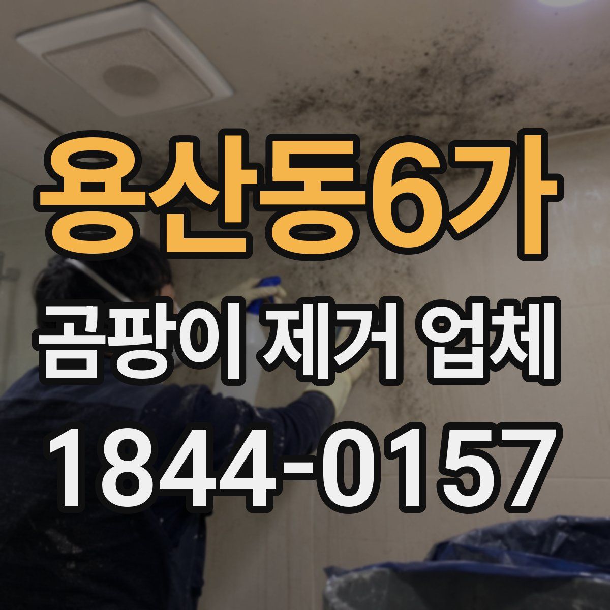 용산동6가 곰팡이 제거 업체