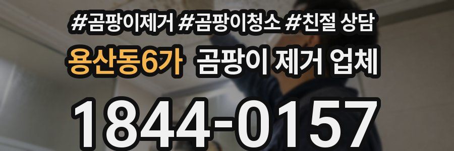 용산동6가 곰팡이 제거 업체