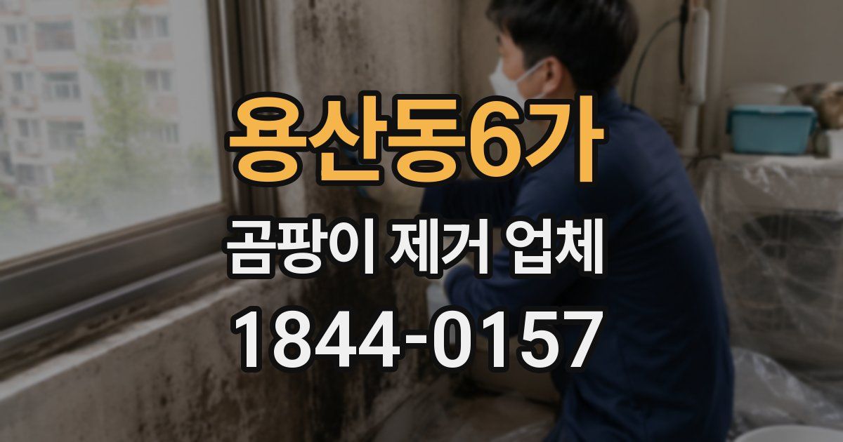 용산동6가 곰팡이 제거 업체