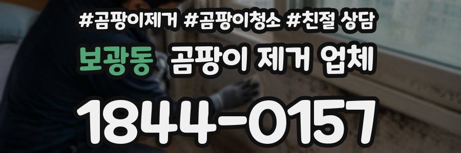 보광동 곰팡이 제거 업체