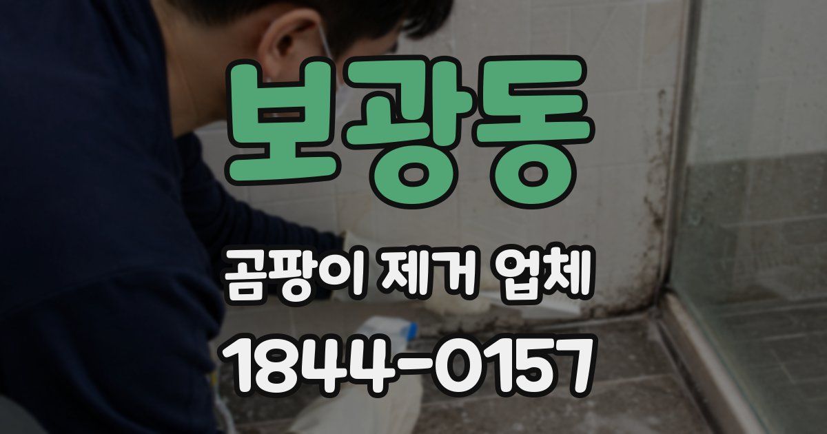 보광동 곰팡이 제거 업체