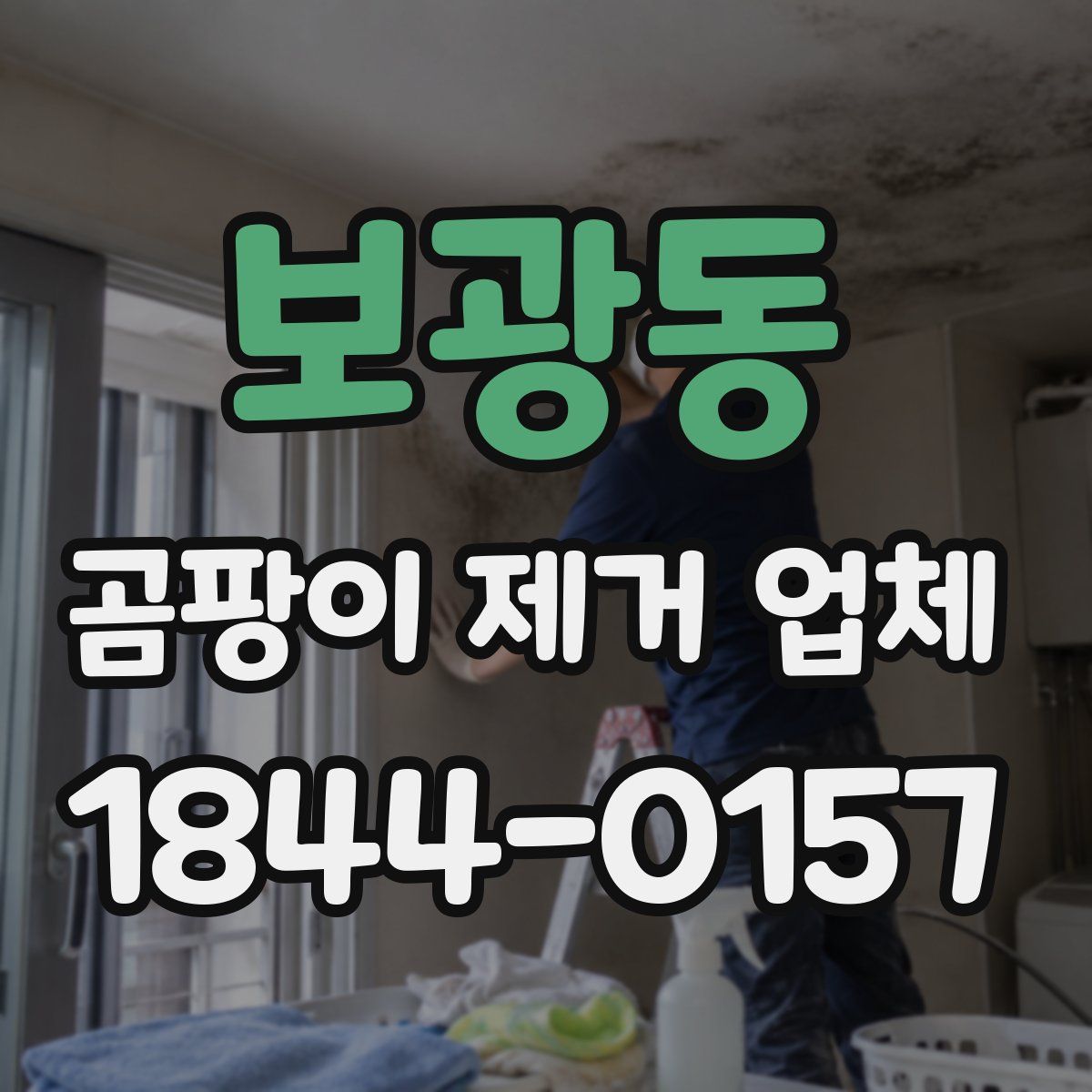 보광동 곰팡이 제거 업체