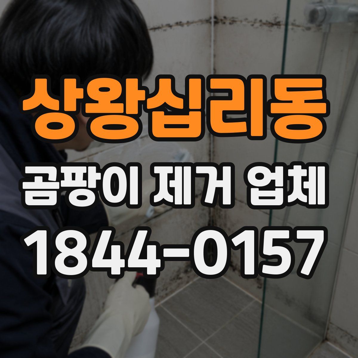 상왕십리동 곰팡이 제거 업체