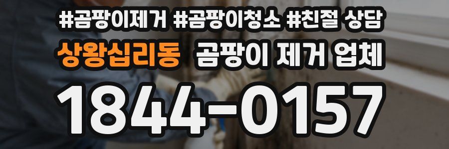 상왕십리동 곰팡이 제거 업체