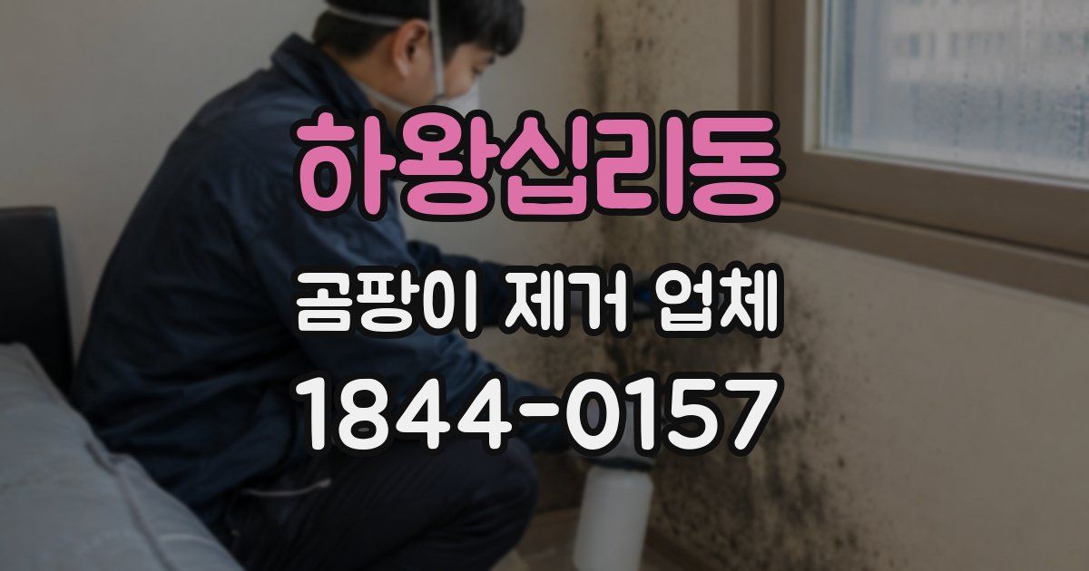 하왕십리동 곰팡이 제거 업체