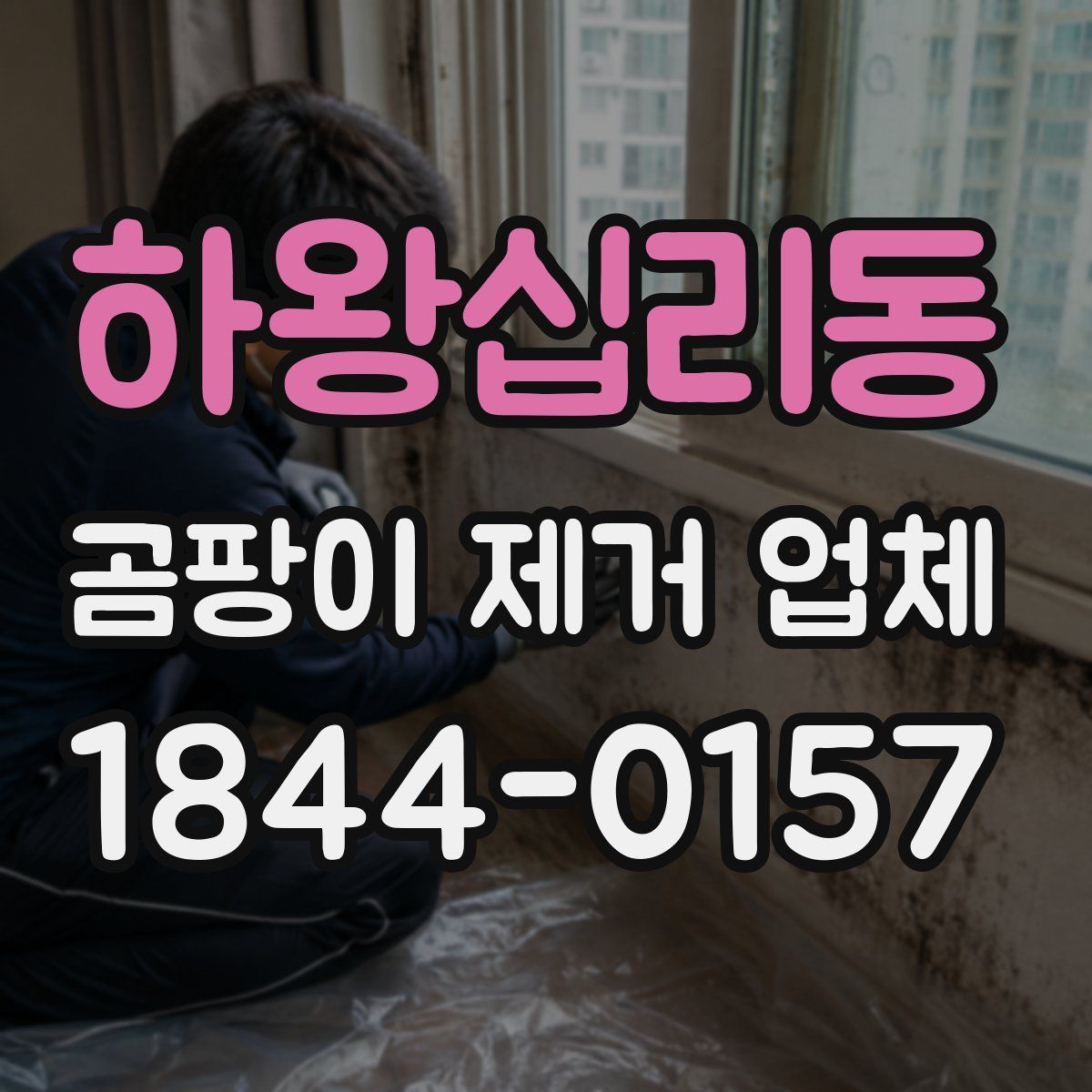 하왕십리동 곰팡이 제거 업체