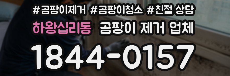 하왕십리동 곰팡이 제거 업체