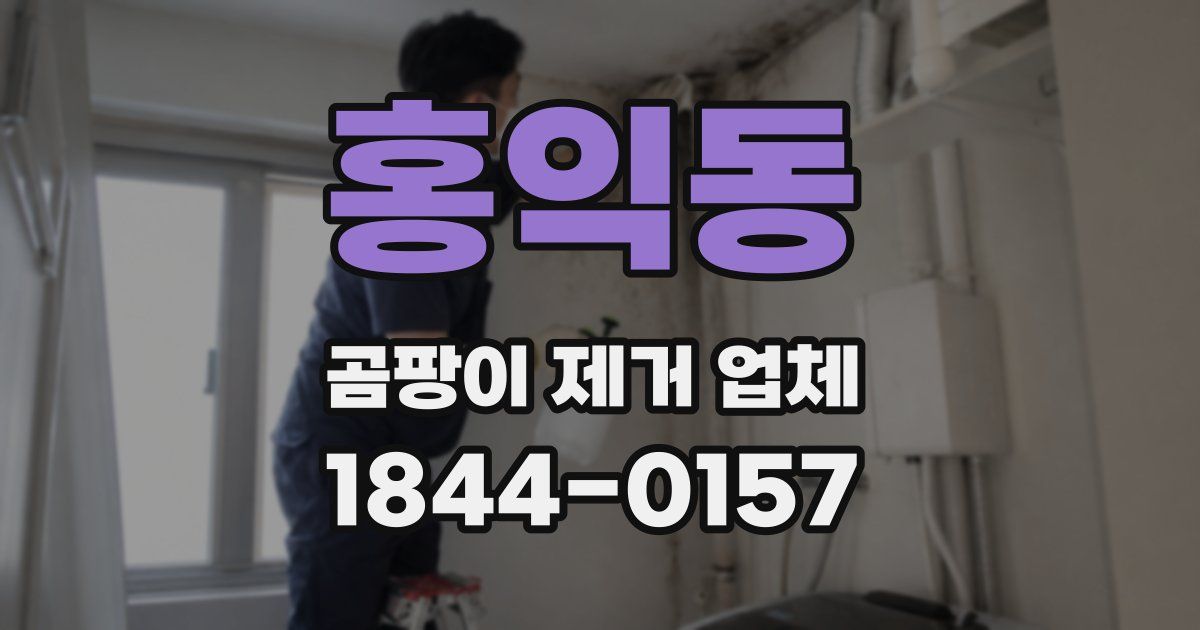 홍익동 곰팡이 제거 업체