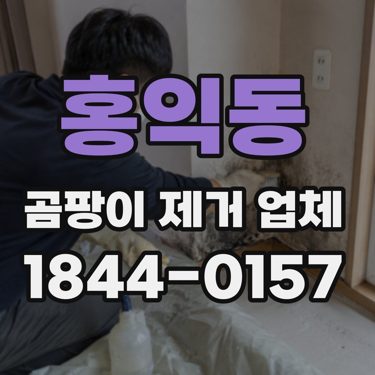 홍익동 곰팡이 제거 업체
