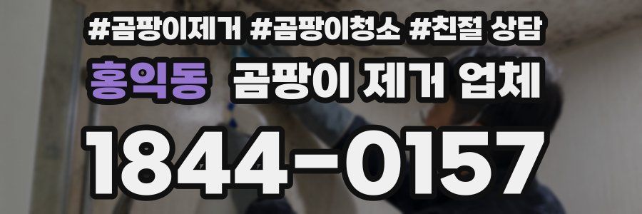 홍익동 곰팡이 제거 업체