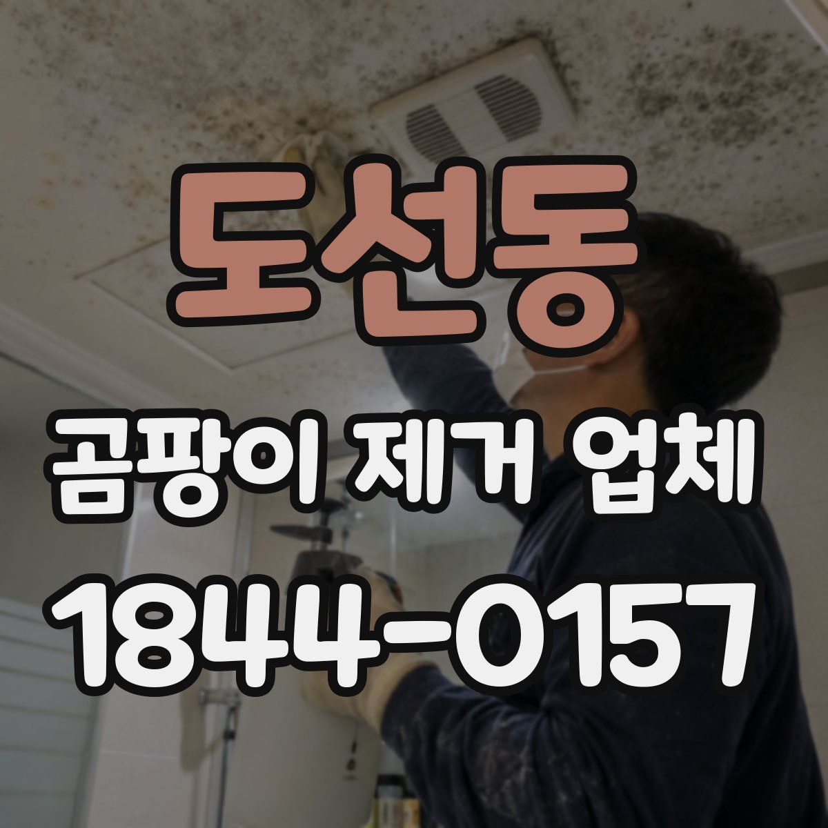 도선동 곰팡이 제거 업체