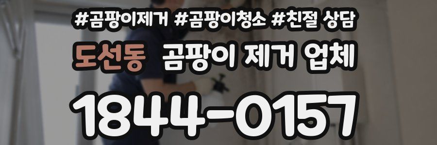 도선동 곰팡이 제거 업체