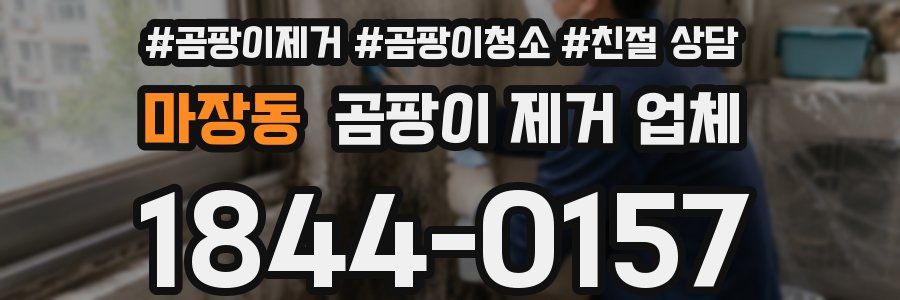 마장동 곰팡이 제거 업체