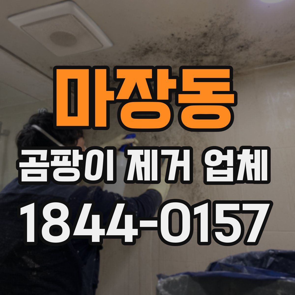 마장동 곰팡이 제거 업체