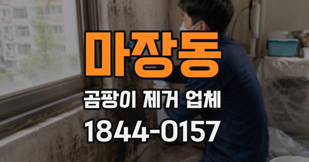 마장동 곰팡이 제거 업체