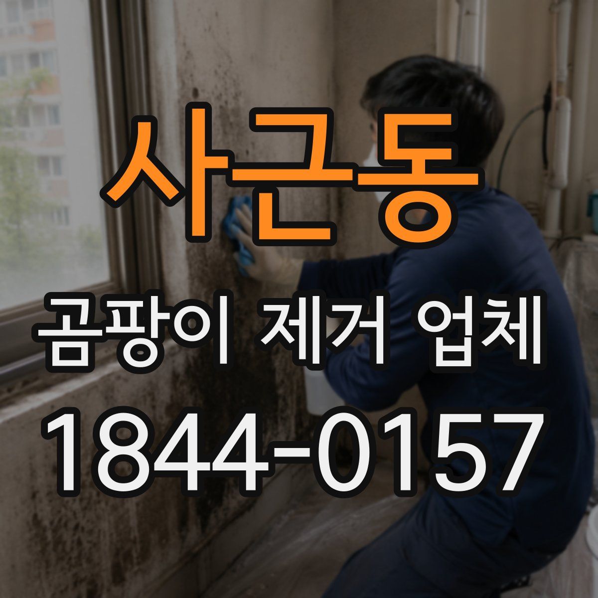 사근동 곰팡이 제거 업체
