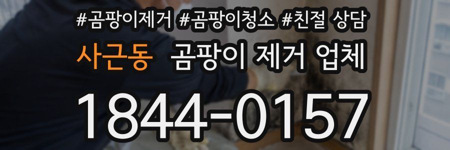 사근동 곰팡이 제거 업체