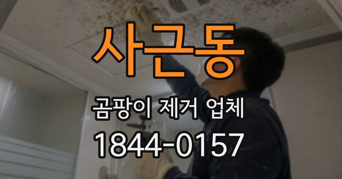 사근동 곰팡이 제거 업체