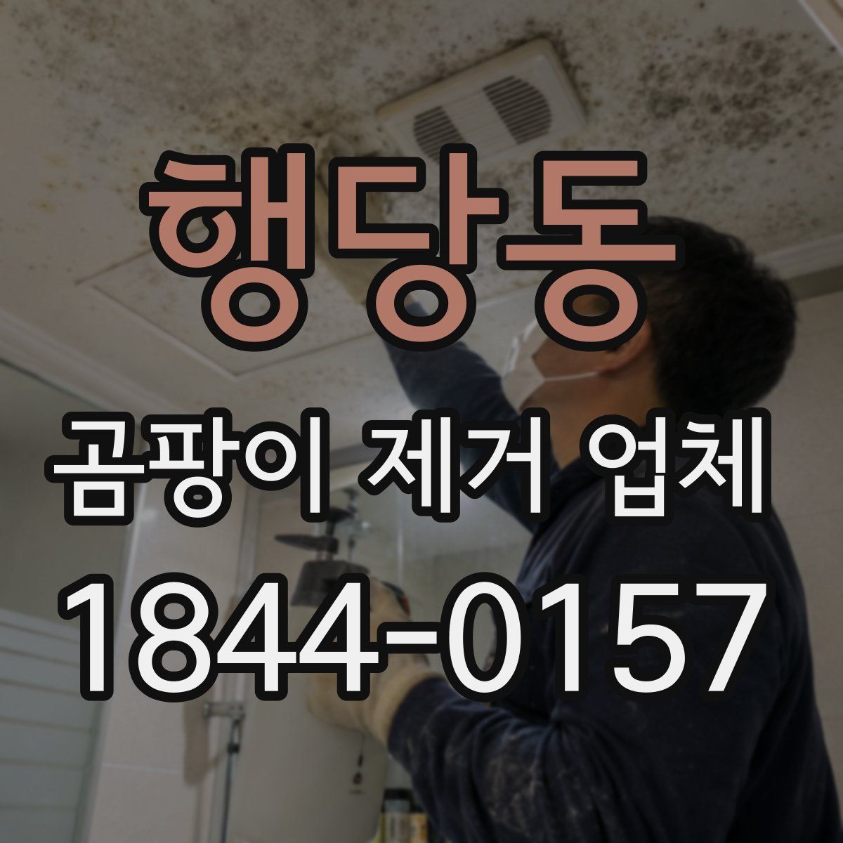 행당동 곰팡이 제거 업체