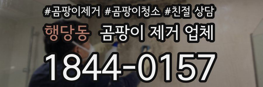 행당동 곰팡이 제거 업체