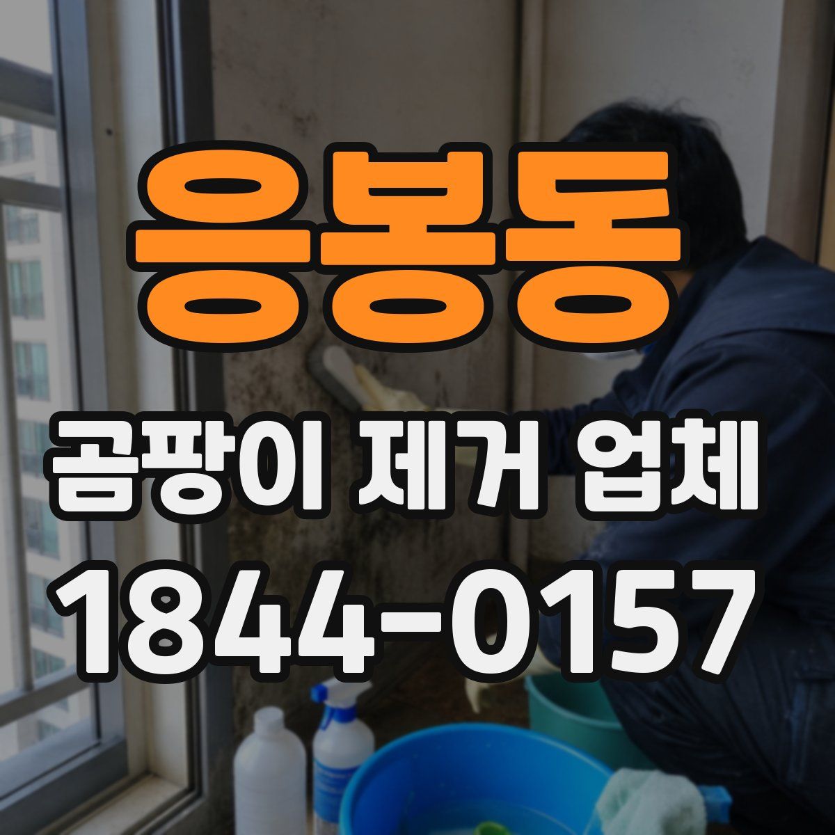 응봉동 곰팡이 제거 업체