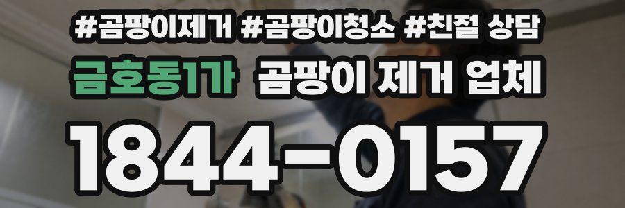 금호동1가 곰팡이 제거 업체