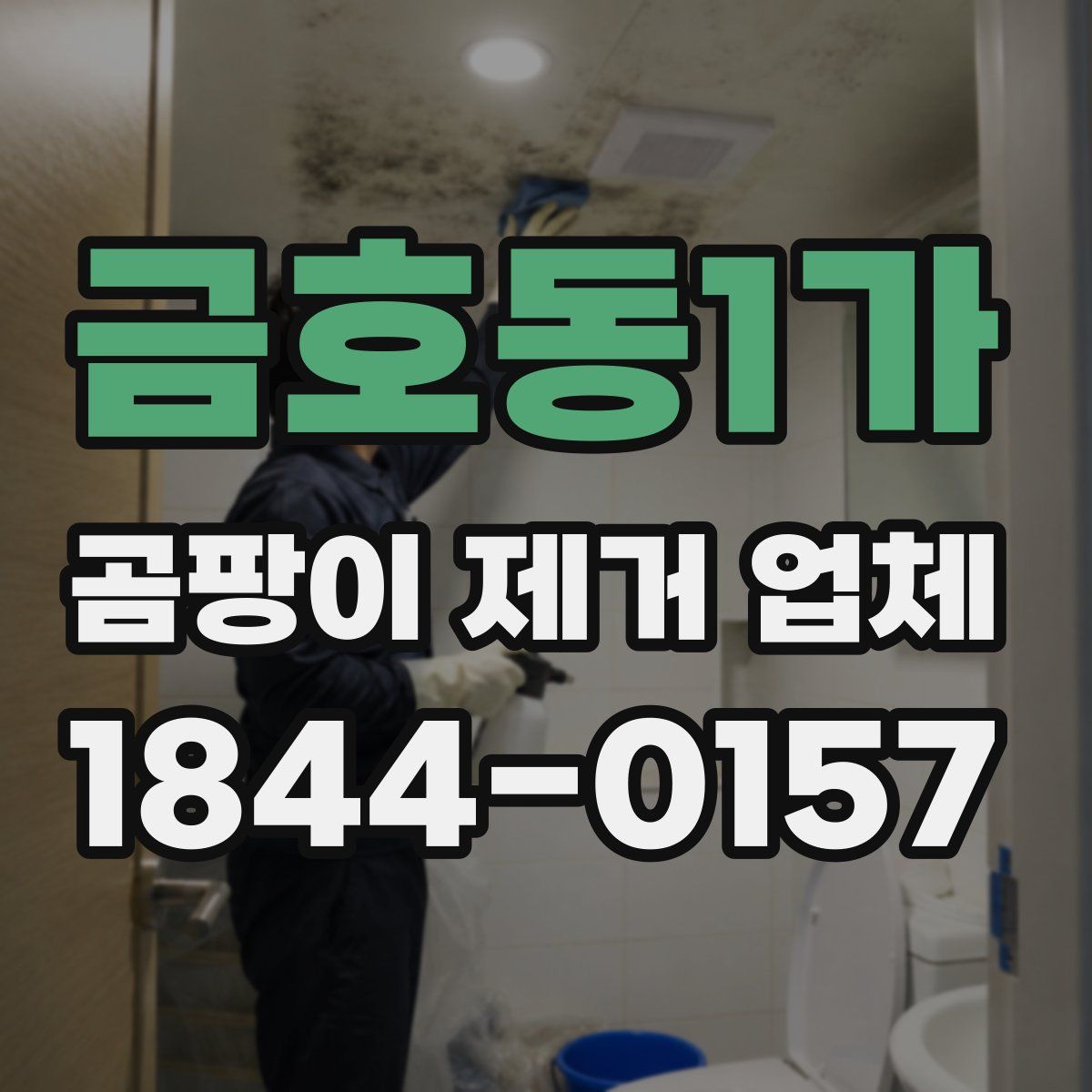 금호동1가 곰팡이 제거 업체