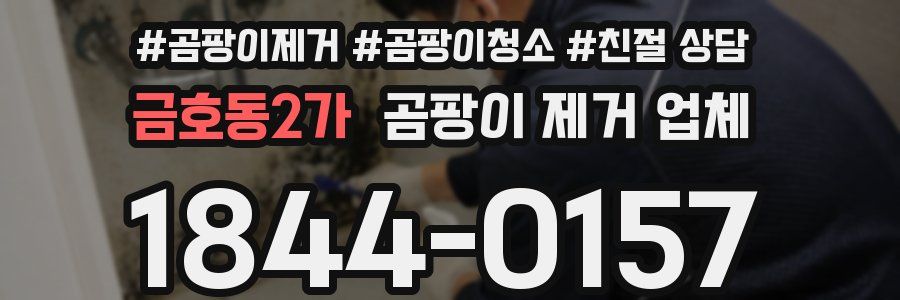 금호동2가 곰팡이 제거 업체