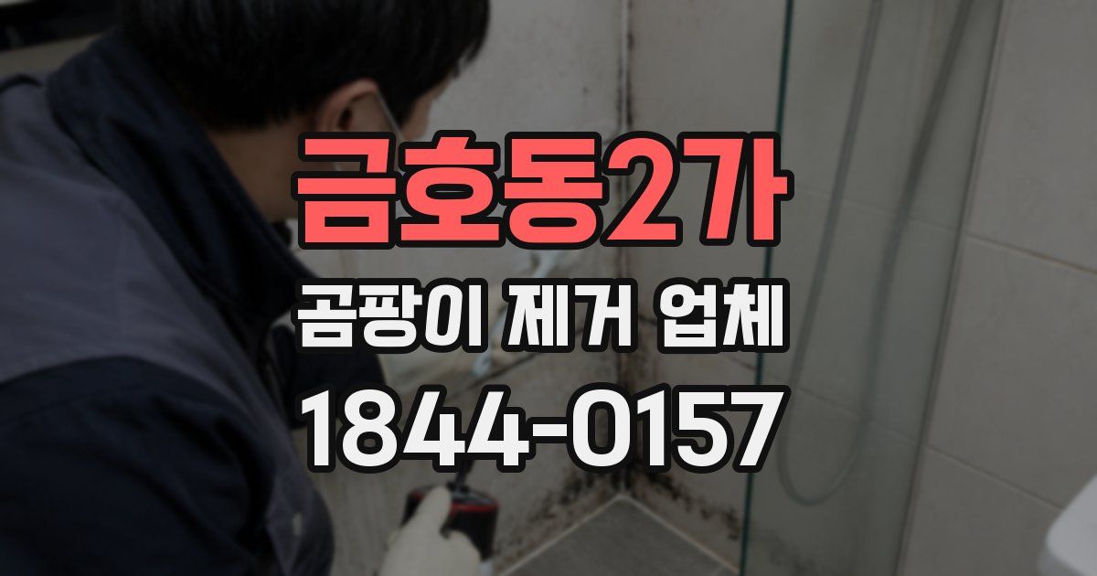 금호동2가 곰팡이 제거 업체