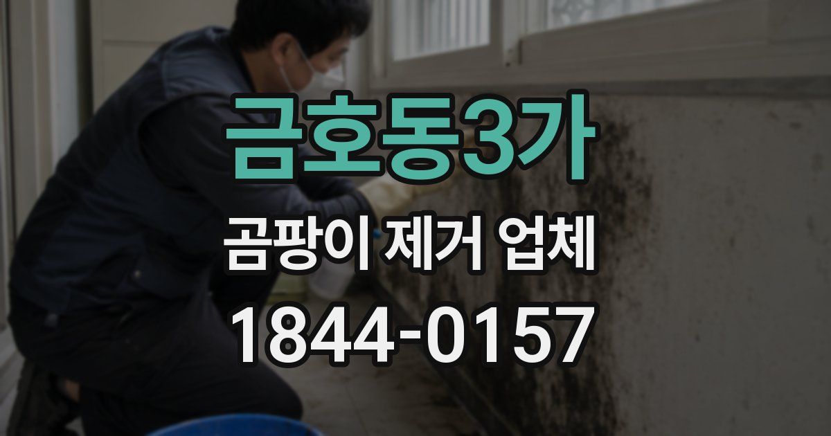 금호동3가 곰팡이 제거 업체
