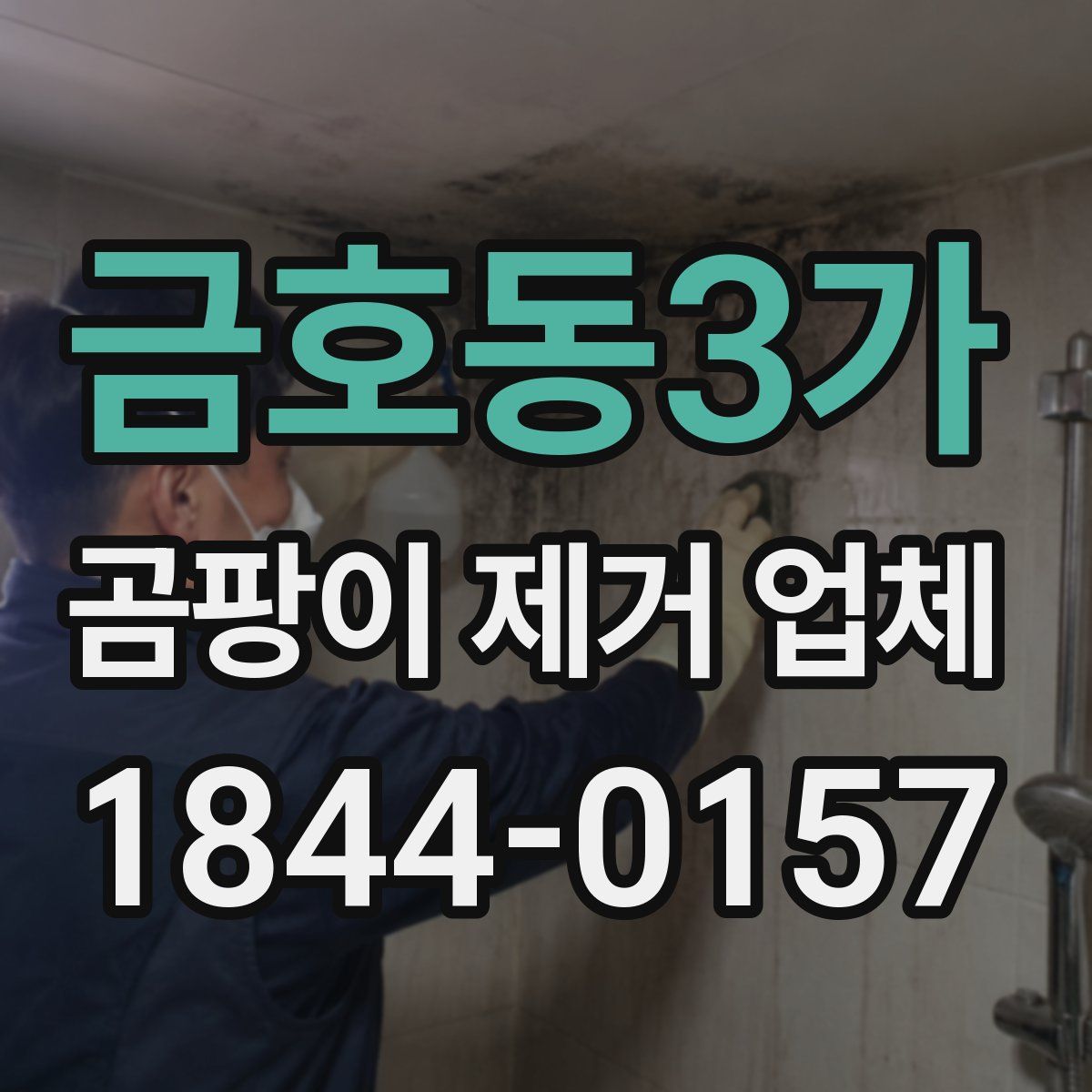 금호동3가 곰팡이 제거 업체