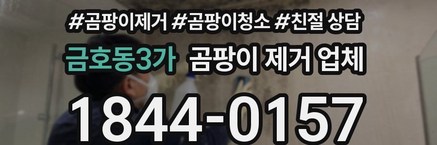 금호동3가 곰팡이 제거 업체