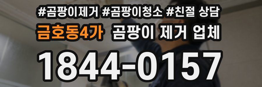 금호동4가 곰팡이 제거 업체